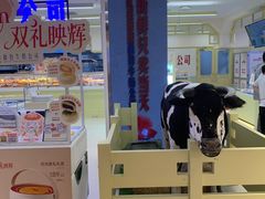 -红星前进面包牛奶公司(君太店)