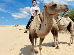 -库伦旗银沙湾旅游景区