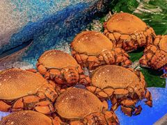 -杭州国际会议中心洲际酒店-原素全日餐厅(解放东路店)