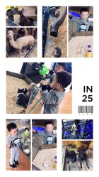 -未来动物城主题公园(正弘城店)