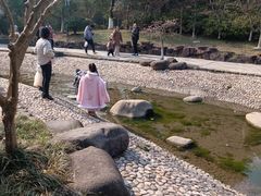 -花溪公园