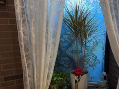 -安德烈俄式西餐厅(中央大街店)