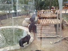 -泉州海丝野生动物世界