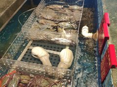 -百里鲜·闽南家宴·福建菜