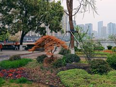 -西北湖绿化广场