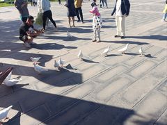 -天津妈祖文化园