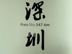 -平安金融中心云际观光层