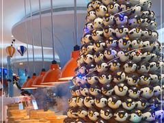 -帝企鹅自助餐厅•儿童岛•真企鹅(长隆企鹅酒店)