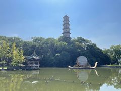 -江心屿景区