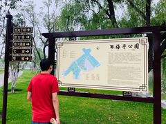 -西海子公园