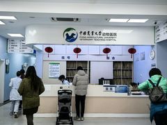 -中国农业大学动物医院