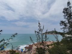 -广东惠东海龟国家级自然保护区