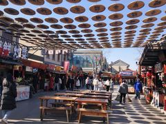 -日照灯塔风景区