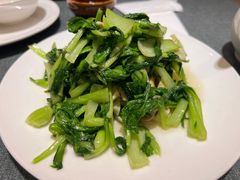 -新吉士·上海菜(浦东LCM置汇旭辉店)