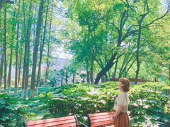 -安徽大学(龙河校区)