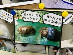 -美联众合动物医院·24h转诊中心