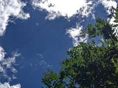 -九寨沟-树正沟