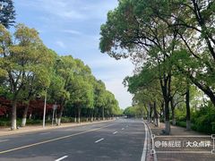 -苏州金鸡湖大酒店
