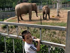 -石家庄市动物园