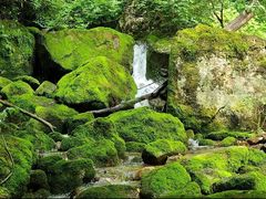 -陕西省红河谷森林公园