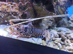 -南昌海洋公园
