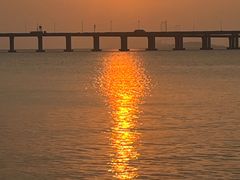 -宝安西湾红树林湿地公园