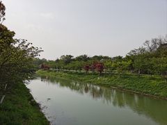 -上海海湾国家森林公园