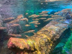 -沈阳海洋探索中心