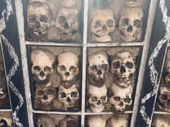 -比如骷髅墙景区