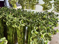 -三圣花乡旅游区