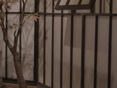 包房-嗨寿司 无国界料理