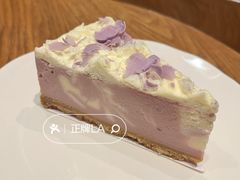 -星巴克(广州百信广场东区店)