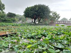 -广州莲花山旅游区