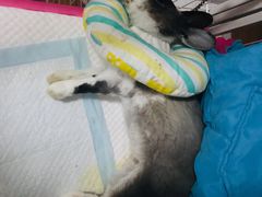 -美迦爱-牙专科·兔科·骨科诊疗中心(北苑店)
