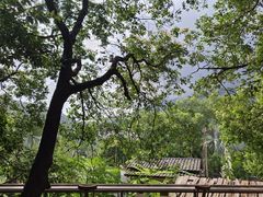 -清水湖度假村(罗浮山美食地标店)