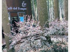 -同里国家湿地公园