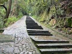 -岳麓山风景名胜区