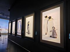 -罗红摄影艺术馆