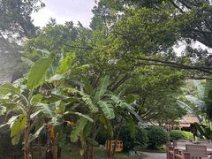 -李小龙乐园(顺德均安店)