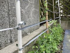 -世纪昂立幼儿园