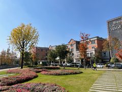 -紫· 割烹  Kappo Murasaki