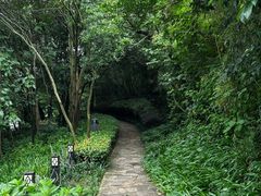 -天目湖涵田度假村