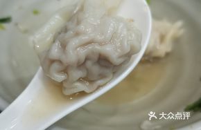 Frozen Fresh Meat Wontons