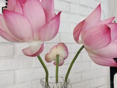 -仙芋传奇(黄山黎阳in巷店)