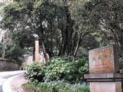 -灵谷景区