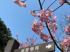-南山植物园