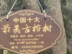 -福建土楼(南靖)景区