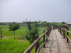 -西青郊野公园