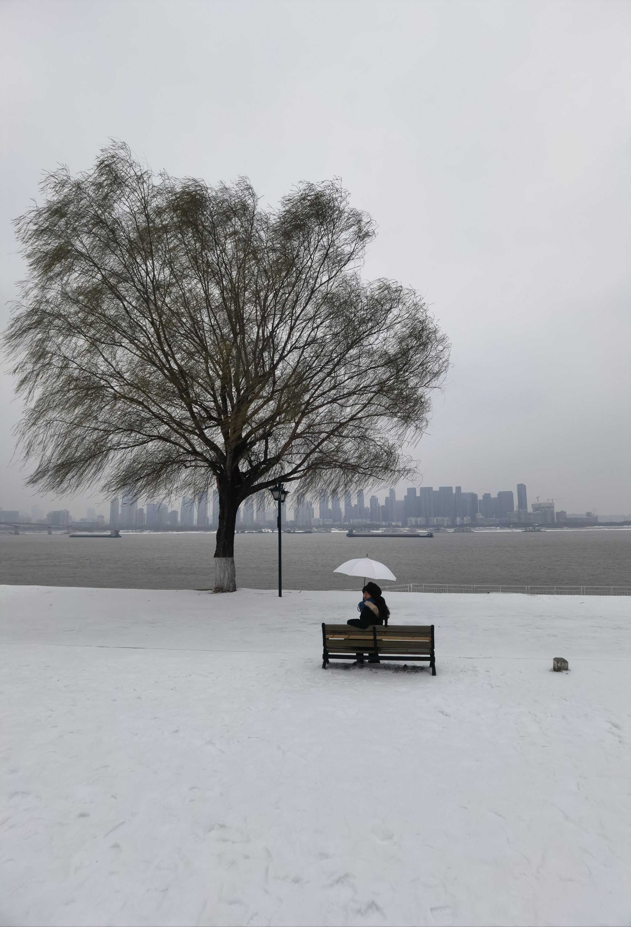 下雪孤独的图片图片