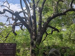 -北京密云天门山风景区